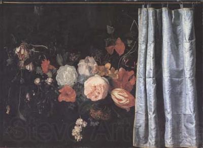 SPELT, Adrian van der Flower Still Life with Curtain (mk14) France oil painting art